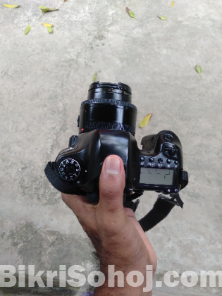 Canon 6D & 50mm Prime Lance